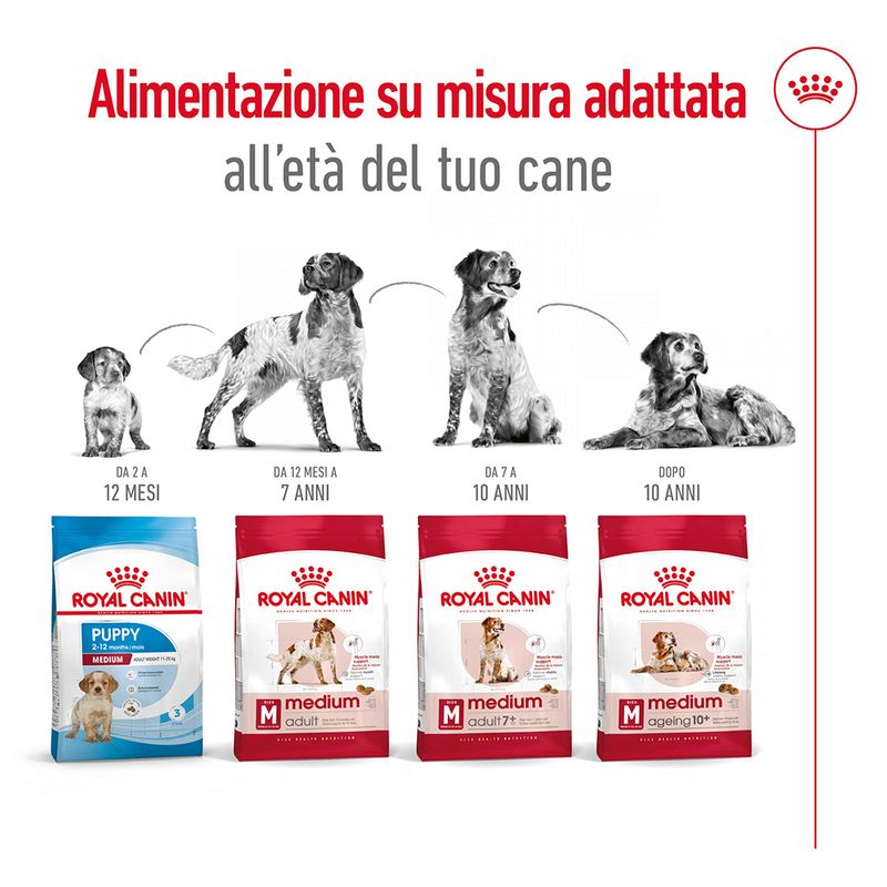 Royal Canin Medium Adult 15 kg - Crocchette per Cani Royal Canin Medium Adult 15 kg - Crocchette per Cani